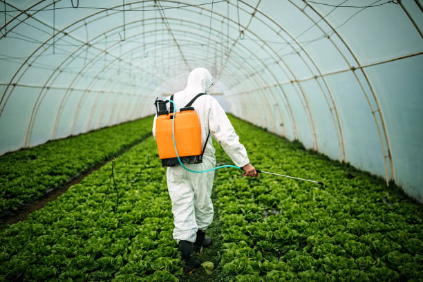 Best Pest Prevention Services  in Pevely, MO