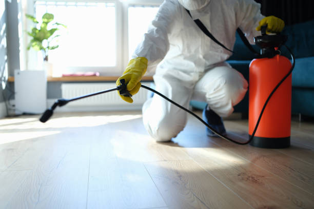 Professional Pest Control in Pevely, MO