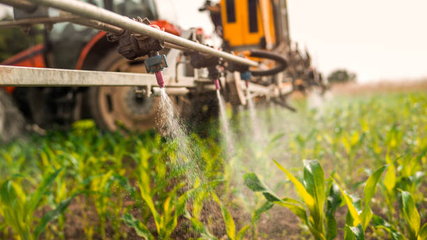 Pest Control Cost in Pevely, MO